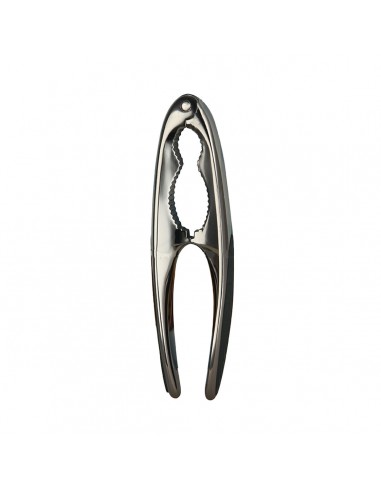 ΚΑΡΥΔΟΘΡΑΥΣΤΗΣ NICKEL ΨΕΥΔΑΡΓΥΡΟΥ