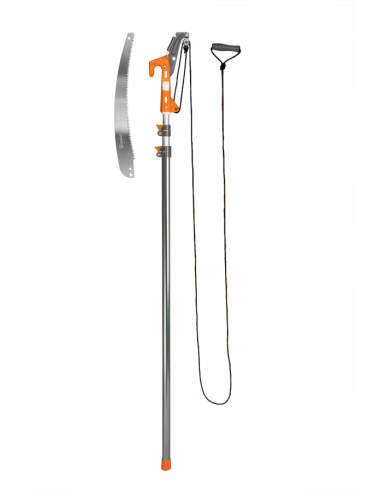 ΨΑΛΙΔΙ-ΠΡΙΟΝΙ ΚΛΑΔΩΝ ΚΟΡΥΦΗΣ...