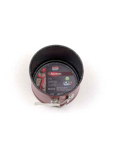 ΦΟΡΜΑ ΛΥΟΜΕΝΗ ΠΑΝΕΤΟΝΕ No12 2TMX IRIS...