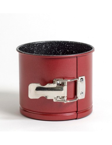 ΦΟΡΜΑ ΛΥΟΜΕΝΗ ΠΑΝΕΤΟΝΕ No16 2ΤΜΧ IRIS...